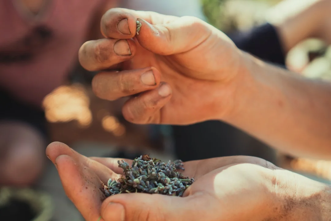 Manos que sostienen la tierra con pequeños plantones: simboliza el crecimiento y la curación del niño interior.