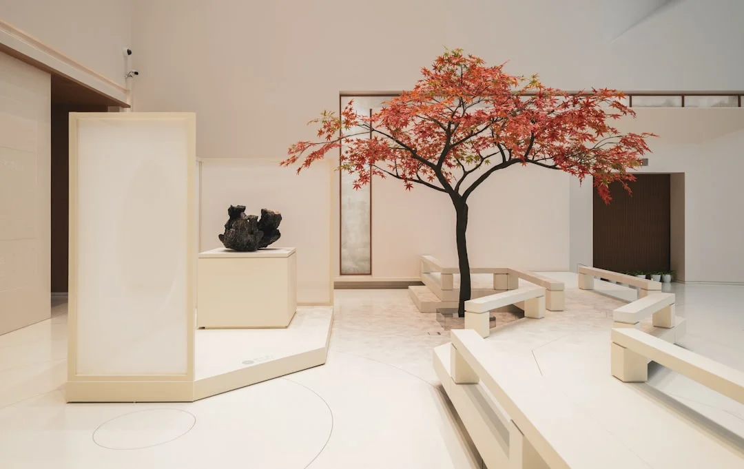 Feng Shui: El lenguaje de los espacios — una visión general