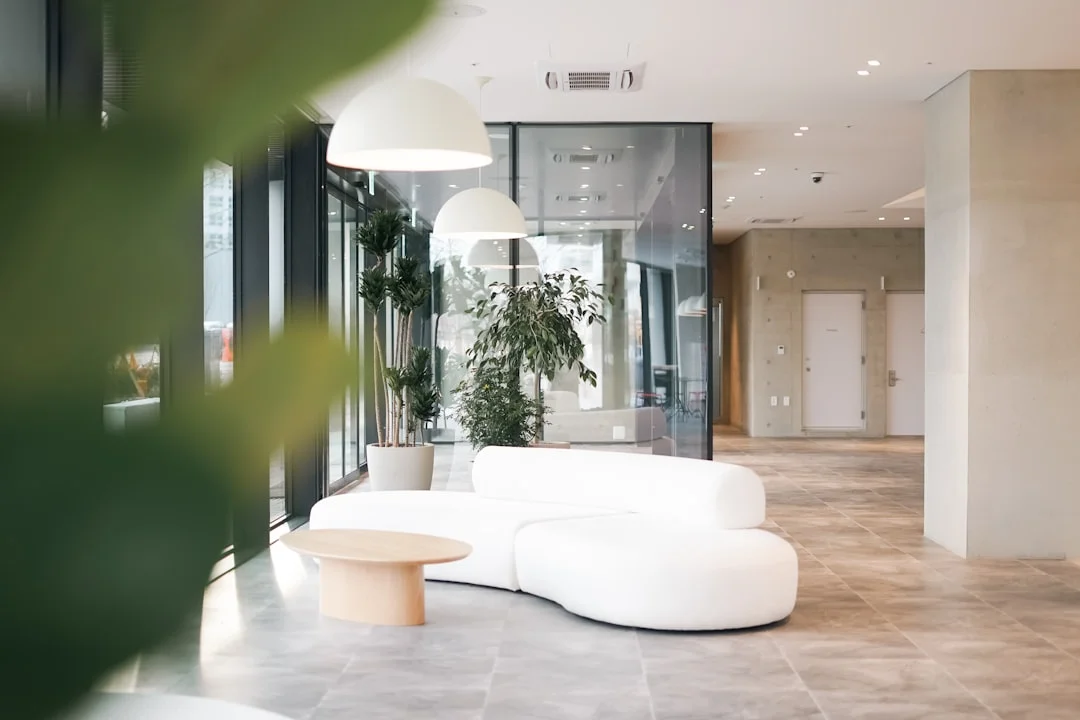 a white couch in a living room next to a plant