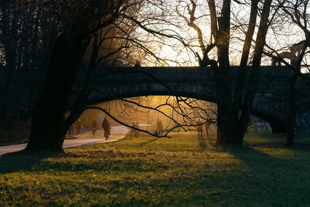 Un couple âgé se promène dans un parc au coucher du soleil - lien et satisfaction de la vie