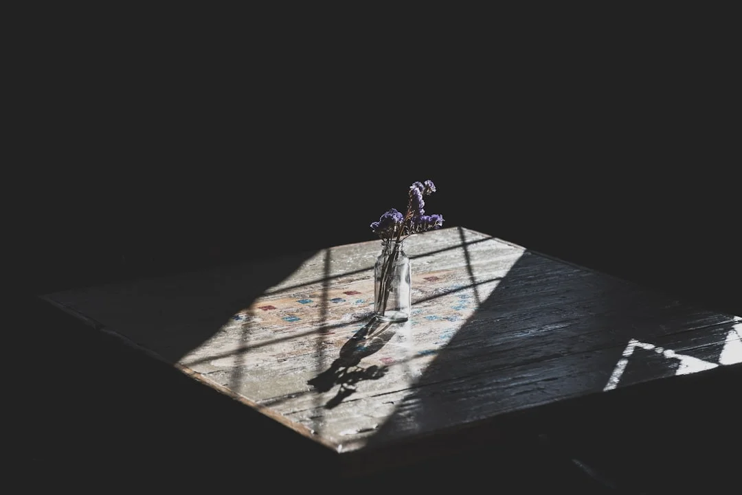 Symbolic scales between light and shadow - balance between hedonia and eudaimonia