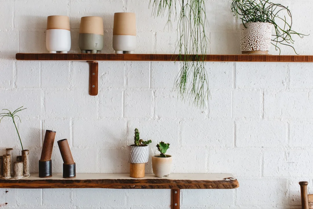 Aperçu du Feng Shui : points cardinaux, éléments et couleurs