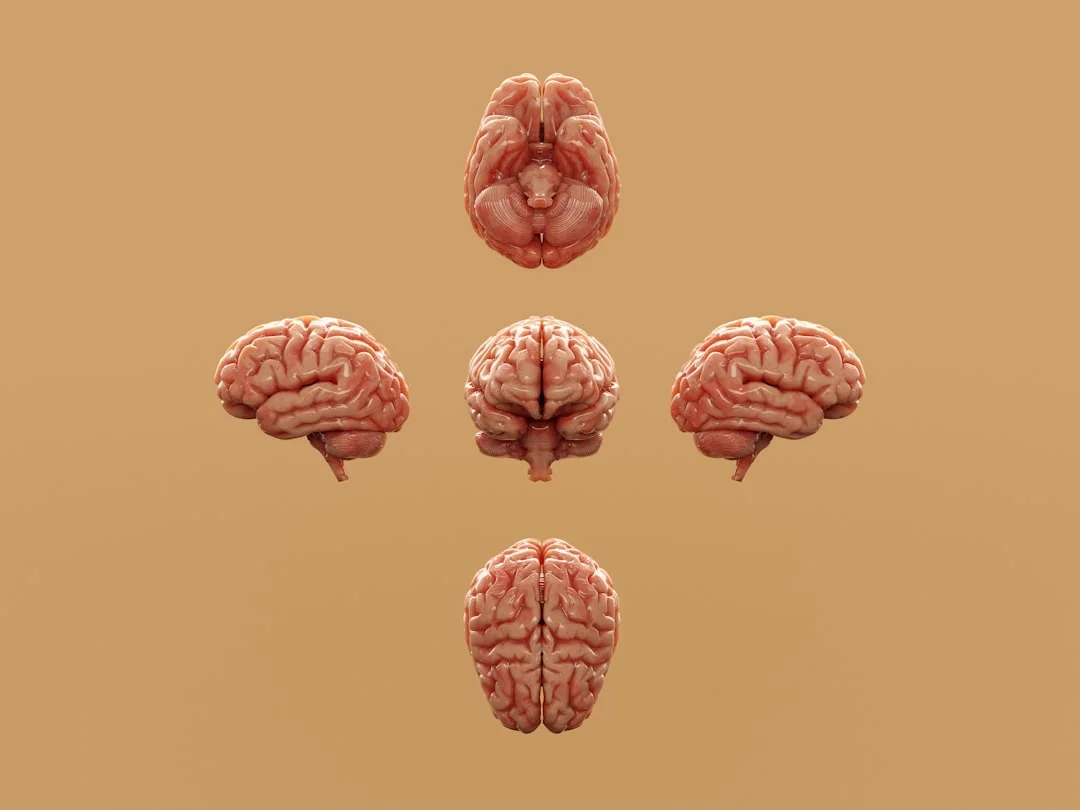 Changing habits: The neuroscience behind sustainable change