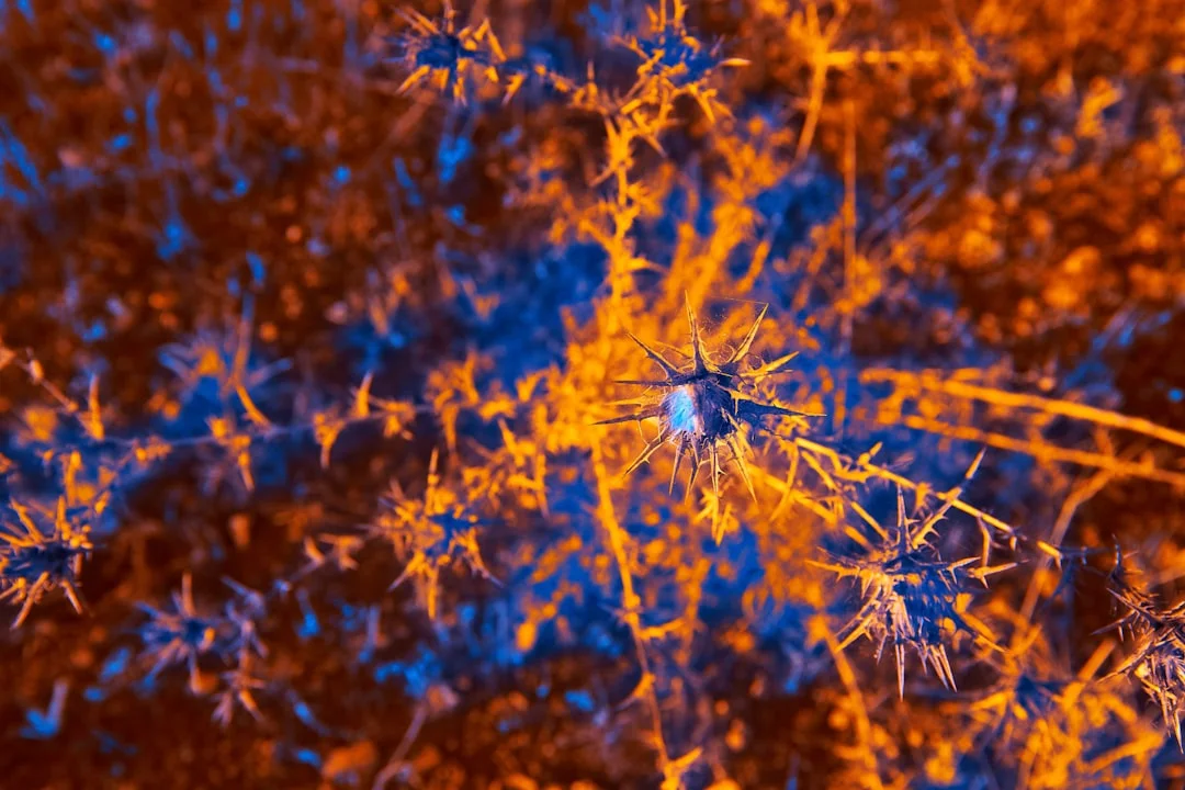 EFT e scienza: cosa dicono gli studi?
