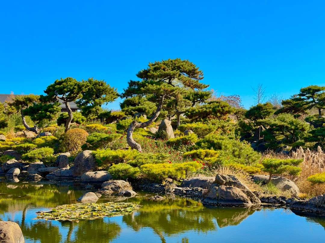 Un tranquillo giardino di meditazione nella natura