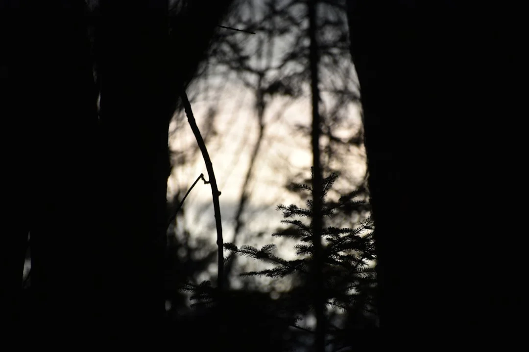 Frau sitzt nachdenklich in einem Wald mit warmem Licht