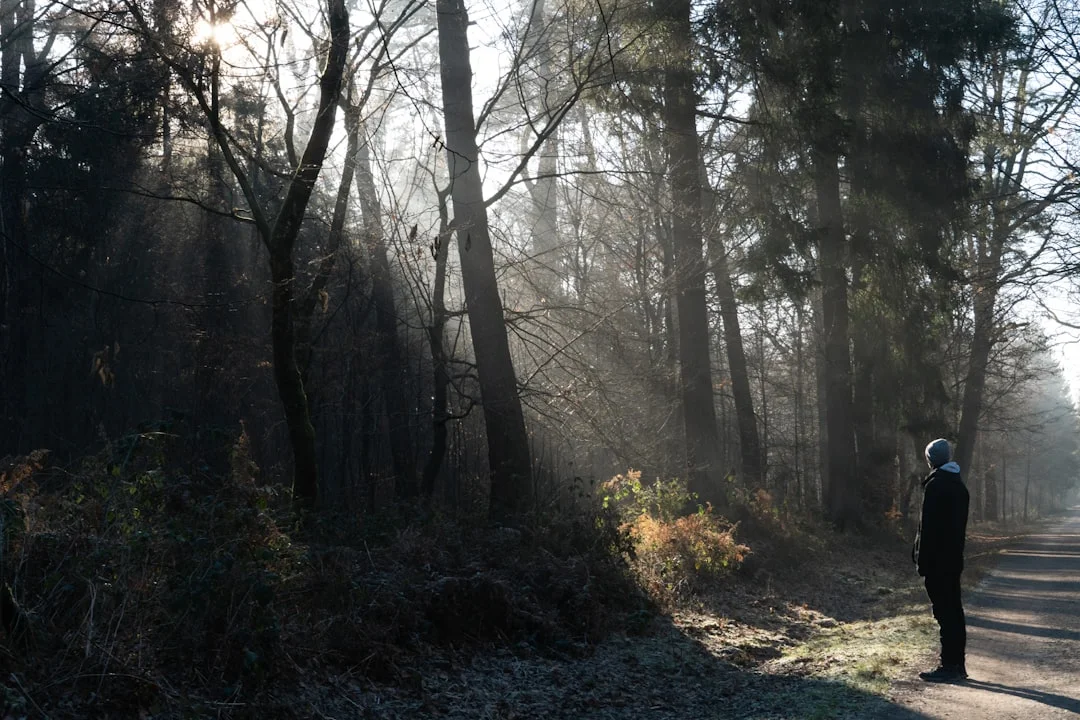 Persona caminando por un sendero forestal a la luz de la mañana - simboliza el movimiento hacia delante y la orientación hacia un objetivo