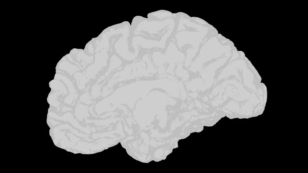 Neuronal connections in the human brain as a symbol for beliefs