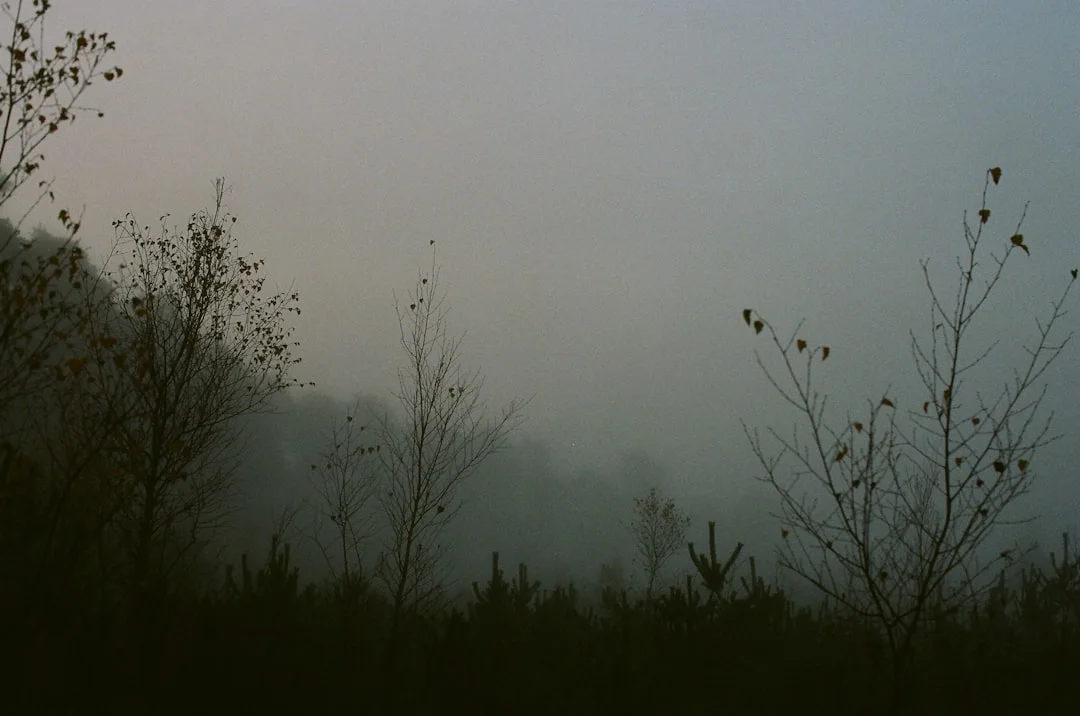 Persona respirando profundamente en la bruma matinal del bosque