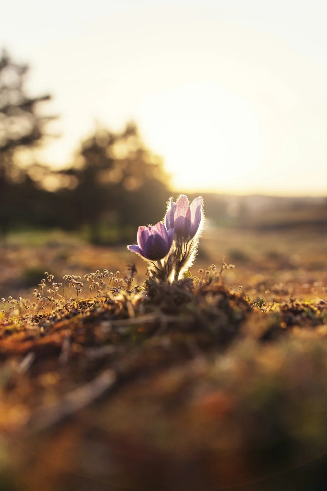 Construire la résilience : 5 stratégies pour les temps difficiles