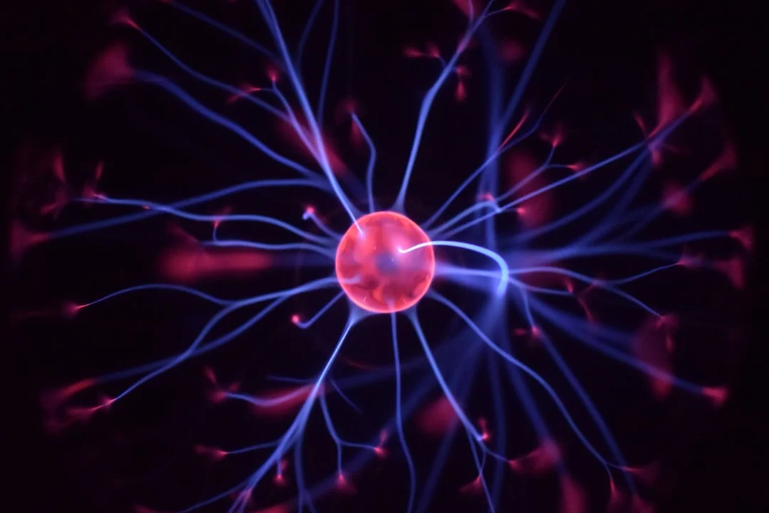 Neurobiologie de la résilience : comment le stress façonne ton cerveau