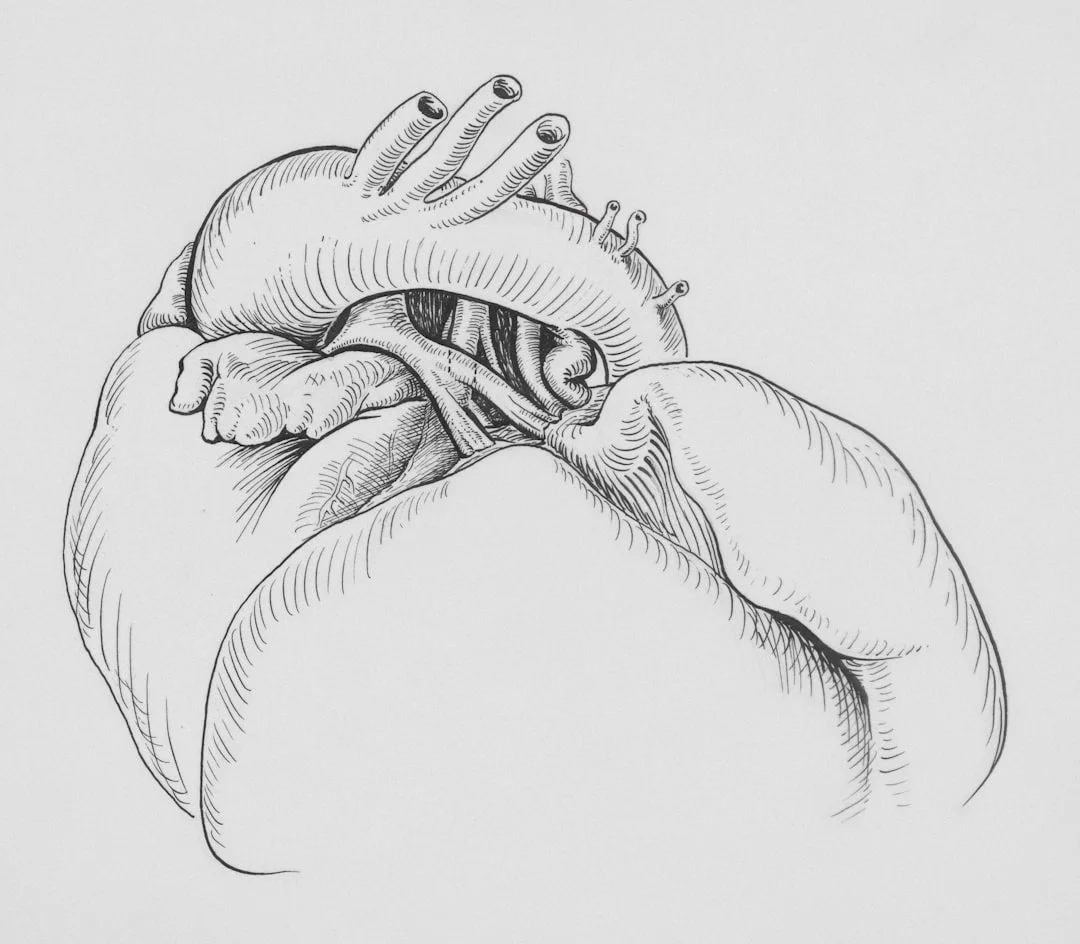 La persona tiene simbolicamente un cuore tra le mani, un'immagine di vulnerabilità e coraggio.