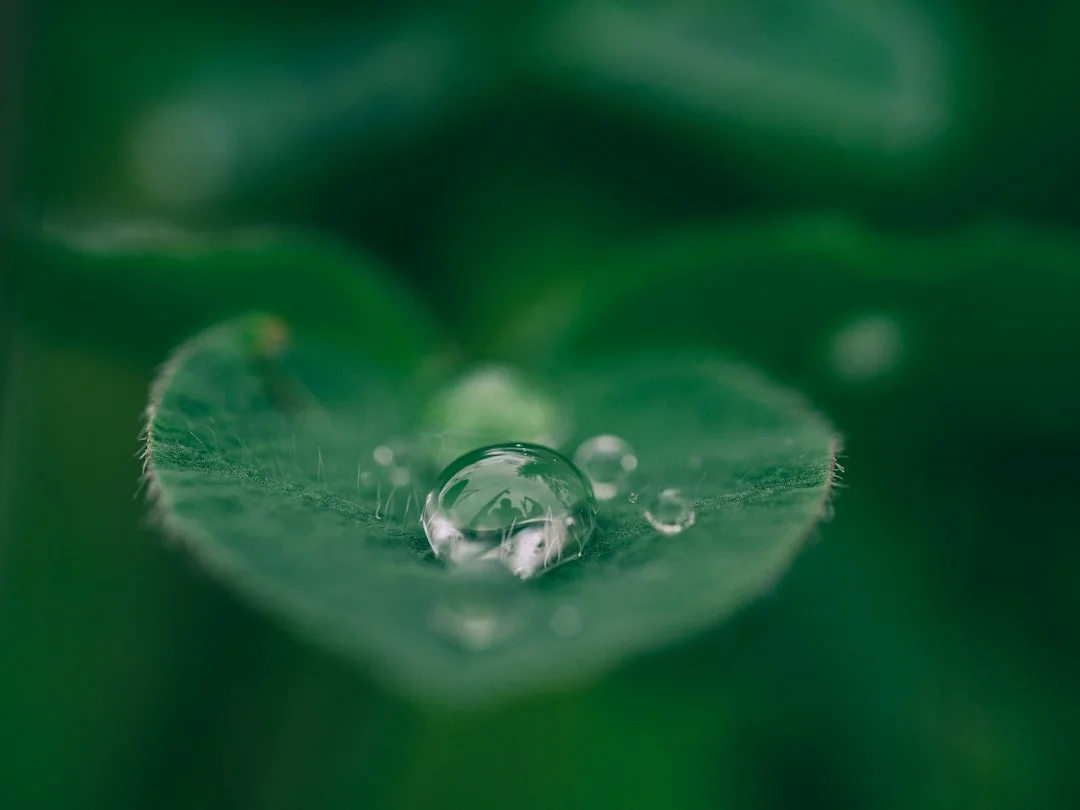 Natura verde con il simbolo del cuore, che rappresenta il chakra del cuore e l'amore universale
