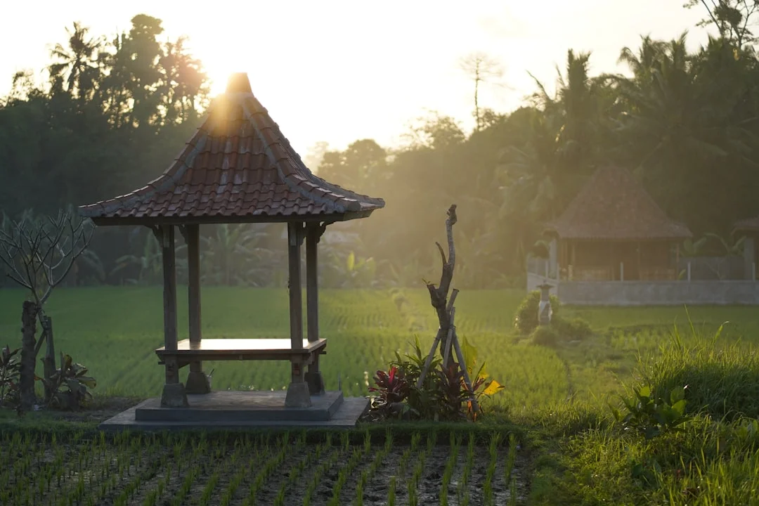 Person meditating in nature at sunrise