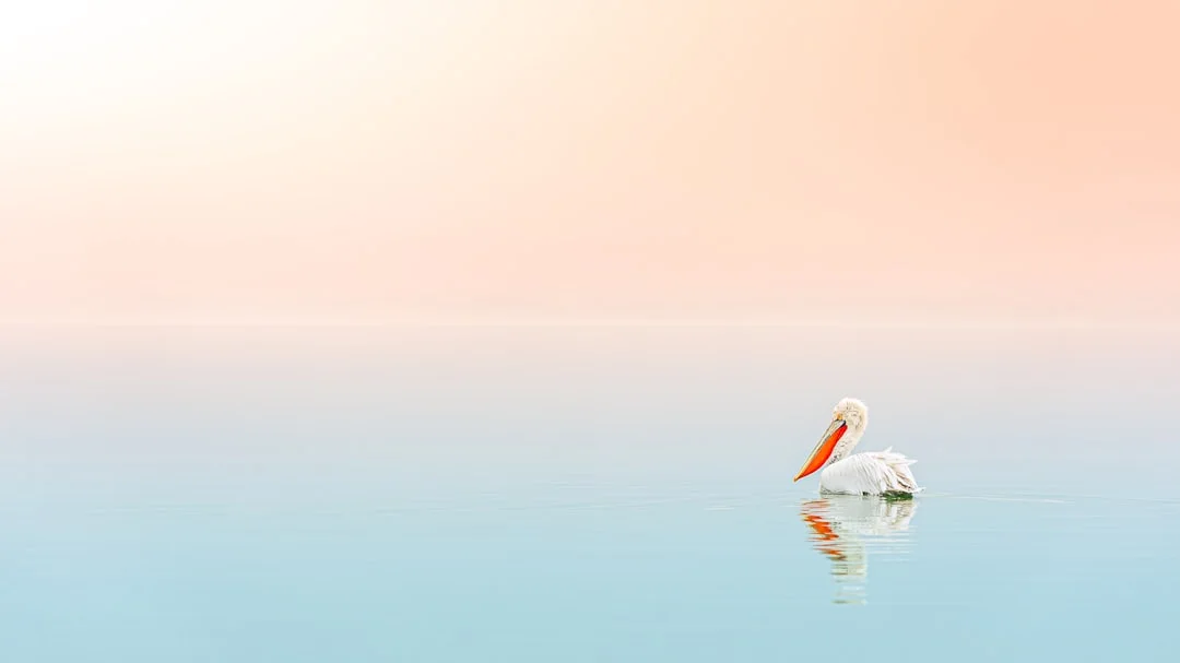 Personne assise tranquillement dans la nature et méditant - symbole de régulation du stress et d'équilibre intérieur