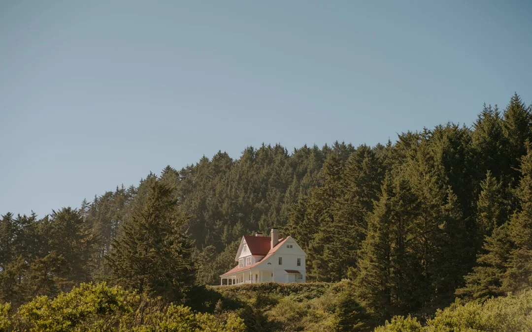 Feng Shui School of Form: The Four Animals and the Location of the House
