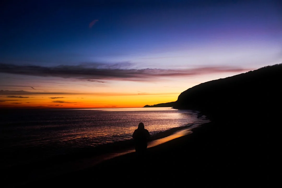 A person sits quietly in nature and looks thoughtfully into the distance - a moment of self-reflection