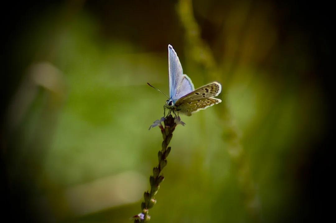 Transform limiting beliefs: Realigning thinking